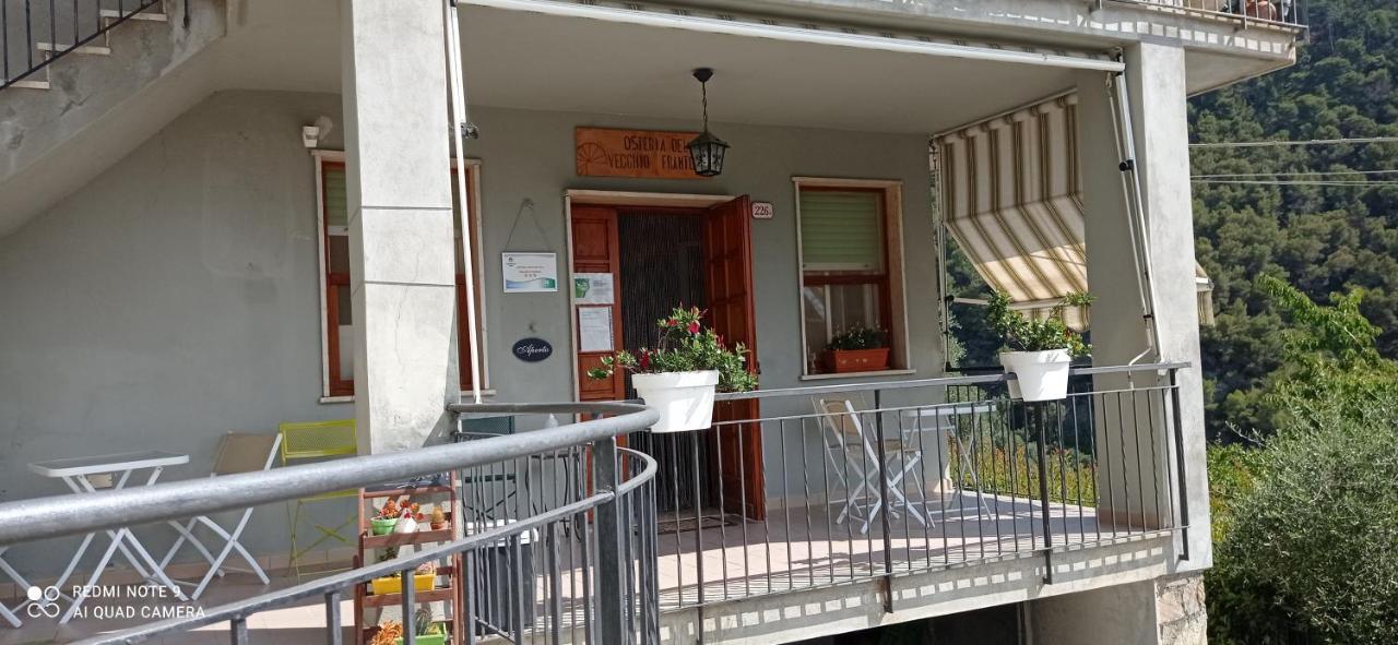 Agriturismo Vecchio Frantoio Villatella ภายนอก รูปภาพ