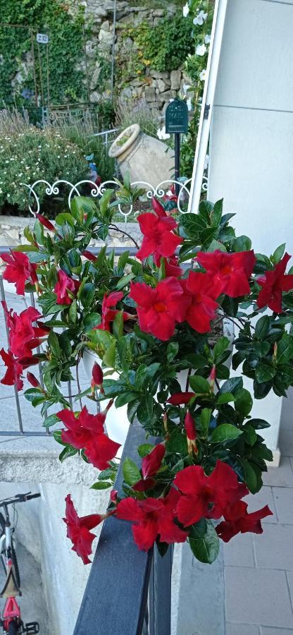 Agriturismo Vecchio Frantoio Villatella ภายนอก รูปภาพ