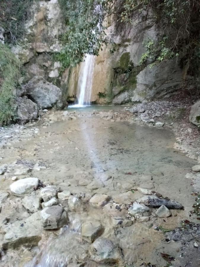 Agriturismo Vecchio Frantoio Villatella ภายนอก รูปภาพ