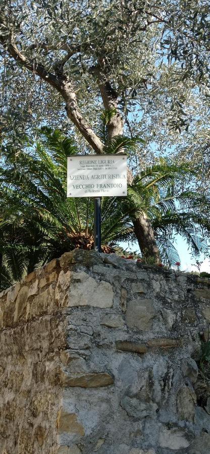 Agriturismo Vecchio Frantoio Villatella ภายนอก รูปภาพ