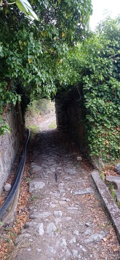 Agriturismo Vecchio Frantoio Villatella ภายนอก รูปภาพ