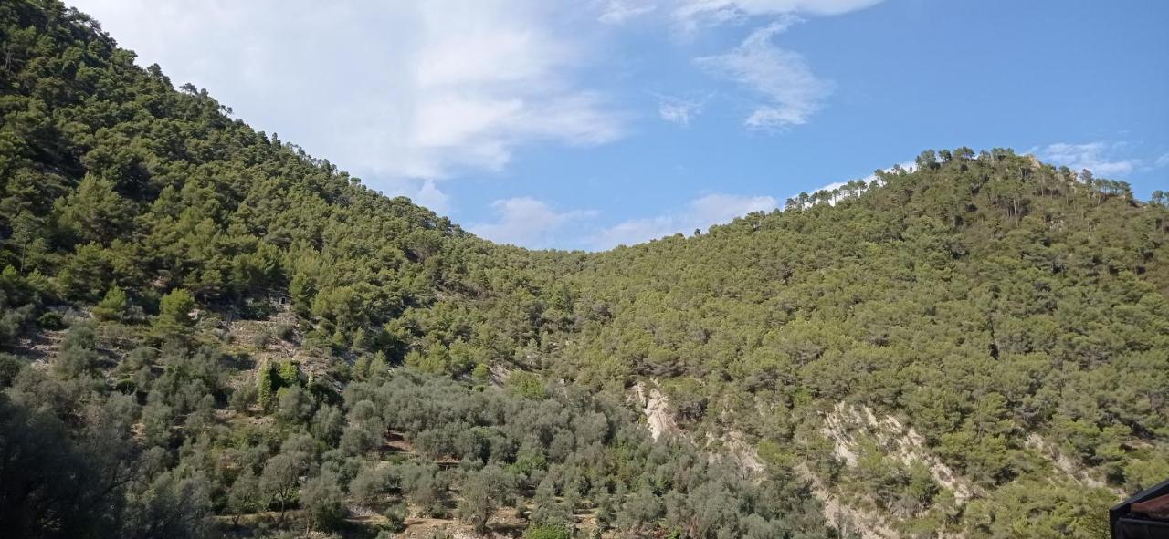 Agriturismo Vecchio Frantoio Villatella ภายนอก รูปภาพ