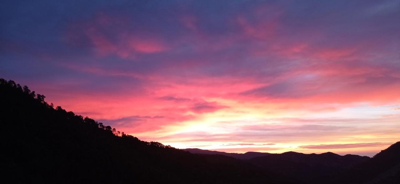 Agriturismo Vecchio Frantoio Villatella ภายนอก รูปภาพ